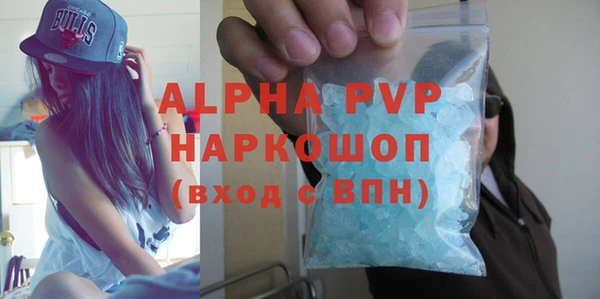 гидра Богородск