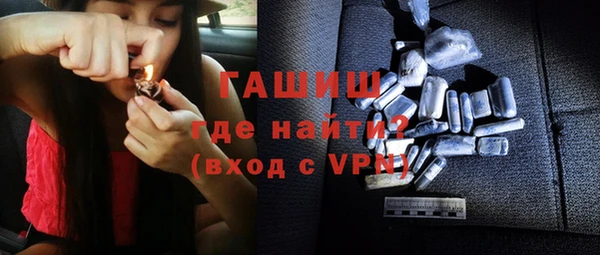 гидра Богородск