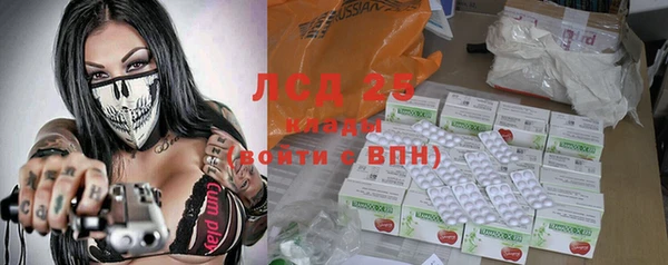 гидра Богородск
