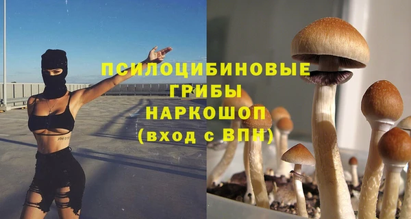 гидра Богородск